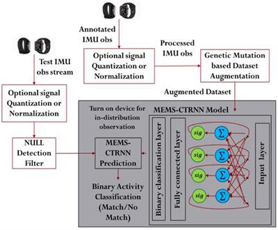 Simulation for a Mems-Based CTRNN Ultra-Low Power Implementation of Human Activity Recognition